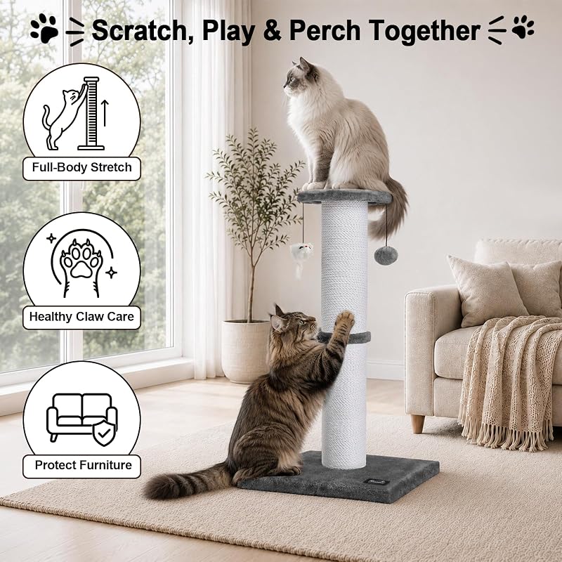 34-Inch Cat Scratching Post gray cat scratching post